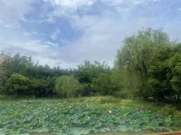 小時候聽爸媽的;上了幼兒園聽阿姨的;上了小學聽老師的;到了初中高中聽同學的;到了大學聽自己和環境的、以及現代科技和教育的。那么到了社會，聽誰的呢？
當我們很清楚的時候，就已經過了大半輩子...配圖