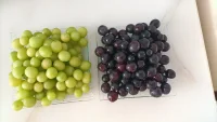 如果想看到更好的世界，
先讓世界看到更好的自己！配圖