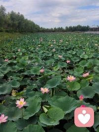 每天去發現生命的美好，就會產生各種各樣的抗焦慮、抗抑郁的因素，我們都可以變得更好，每個人都可以擁有美好未來的生活。配圖