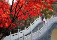 一個人在擁有了寧靜、和諧、自由、快樂、熱愛、充滿希望的生活狀態時，那么就是他幸福的樣子...配圖
