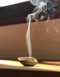 每天都應該是你人生里最絢麗的一天。配圖