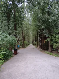 “群居守口，獨居守心”乍看上去這是一句多么有道理的雞湯啊!但細細品來無不透露著心酸與苦楚。
    人是需要社會功能和價值的，只有找到和世界交換價值的通道才能活出自身價值，才能生存。
       我們多想群居能吐露心聲，把酒言歡；獨居能互相守望，心存祝福!可是現在又有幾人能有一個無話不談的朋友呢! 
        所以我會堅持做這份工作，能讓更多的人有傾吐心聲的地方，也有心靈暫時停靠放松的港灣!配圖