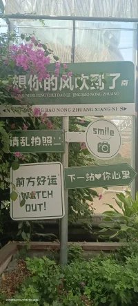 心理分享:

好心態，好人生

人生的下半場，拼的是心態，心大事小，心小事大，心態往往能解決人生80%的煩惱。擁有什么樣的心態，你就擁有什么樣的人生。

養好你的心態，比任何的養生都有用。好心態是治愈一切的良藥，把心態調好，一身輕松。我們改變不了別人，但可以左右自己，心態一改變人生也就跟著變了。

你的心態就是你最好的運氣，你的心態就是你最好的風水，心態決定狀態，好心態才有好人生!配圖