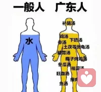 這個圖很精準(zhǔn)哈哈哈
廣東人家好營養(yǎng)都生活
在這邊十年，我已經(jīng)入鄉(xiāng)隨俗了
廣東人喝茶，廣東人煲湯，都很養(yǎng)生配圖