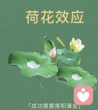荷花努力到30天才開滿荷花池
努力到29天才開滿一半

有個來訪者說
如果你還沒成功
那說明你努力遠遠不夠
這句話，一針見血

大多數人止步于
我已經很努力了
怎么沒有結果這個節點配圖