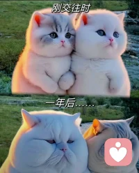 戀愛(ài)最初
都是偽裝，都是珍惜，都是美好
隨著進(jìn)行
都暴露真實(shí)，但真實(shí)丑陋，彼此傷害

美好的愛(ài)，年輕顏值
消耗的愛(ài)，丑話顏值配圖