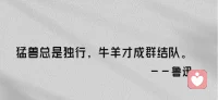 所以請(qǐng)不要懼怕孤獨(dú)
不合群，是特立獨(dú)行的人配圖