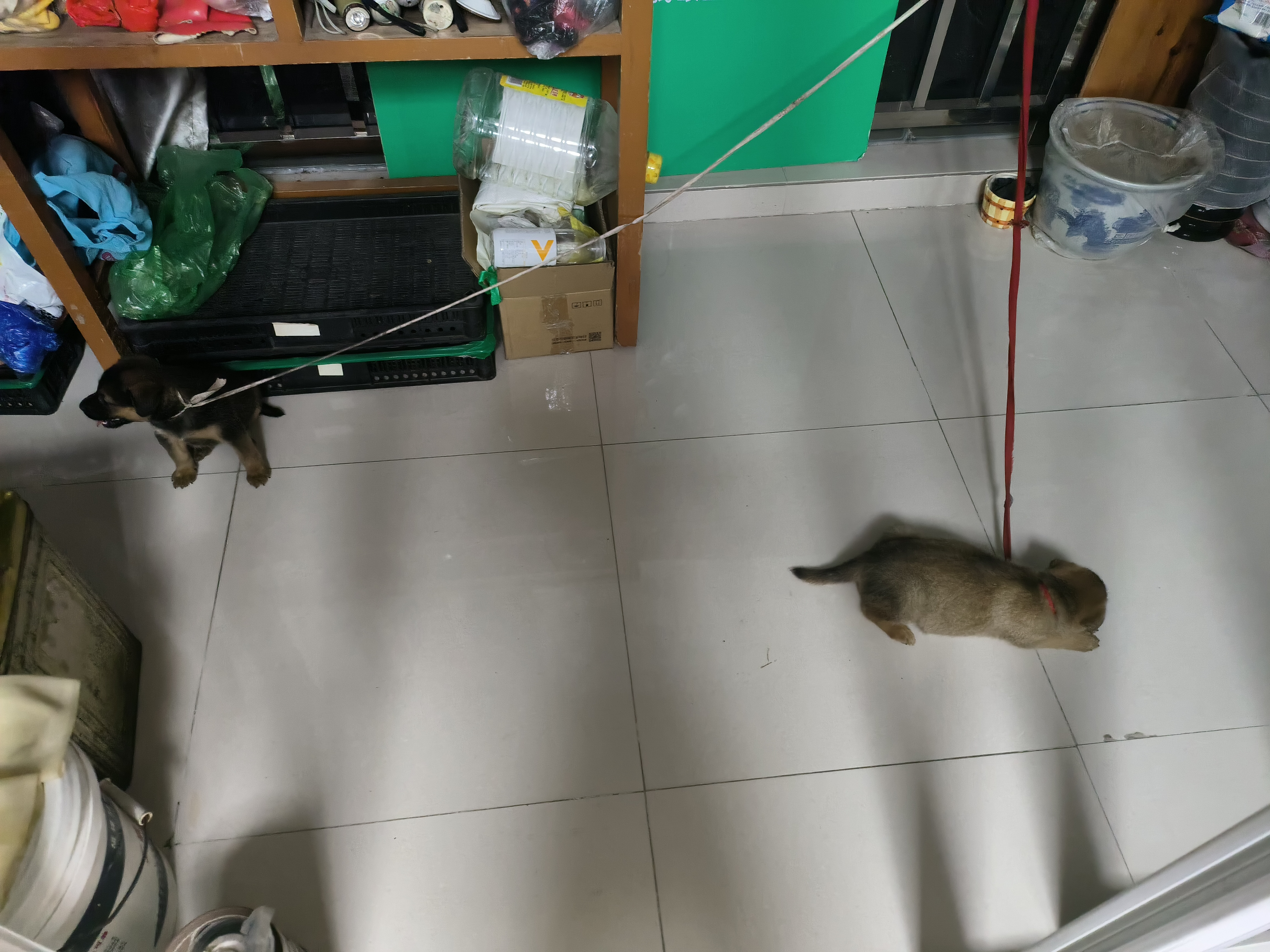 的回答圖片