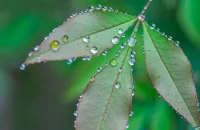 我們常說，不是我想有這么多的煩惱，只是人生有太多的牽掛和無奈，其實，人生沒有什么不可以放下，小到鄰里糾紛，大到生死。你放下也好，不放下也好，其結局并沒有什么改變，不同的只是，放下的人收獲了一份輕松和快樂，而放不下的人只能一輩子背著包袱過日子，不得快樂。配圖