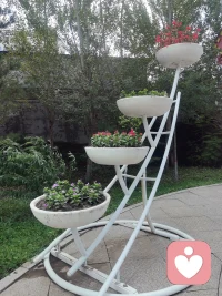 玫瑰就是玫瑰，蓮花就是蓮花，只要去看，不要比較。別人的優(yōu)秀和出色固然可以為我們所借鑒，但自己就是自己，一定要保持自己的本色！
        ——弘一法師人生智慧配圖