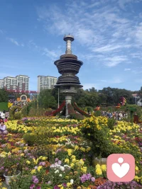 人生較好的狀態 ：
善良有尺，忍讓有度。
沒有能力幫助他人的時候，請放過自己的良心。
沒有后路可繼續退的時候，請放下自己的大方。
沒有得到善意回饋的時候，請收起自己的善良。
余生愿你的善良帶著鋒芒，仁慈之間亦有棱角，
處世之時，守好底線 ！
        摘自《人到中年，請收起你的大方》配圖