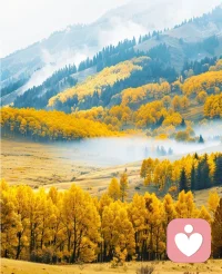 心若池中水，亂則不明。
人心越寧靜，越能客觀認(rèn)世界。
不是沒看透，只因心太亂。
心態(tài)好了一切就都順了 ！配圖