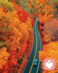 心若池中水，亂則不明。
人心越寧靜，越能客觀認(rèn)世界。
不是沒看透，只因心太亂。
心態(tài)好了一切就都順了 ！配圖