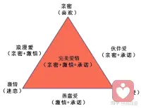 愛情三角形：斯坦伯格認(rèn)為，愛情是由親密（彼此喜歡理解期待）、激情（相互魅力與性吸引）、承諾（決定發(fā)展穩(wěn)定關(guān)系）三個(gè)因素組成的三角形。
      這里呈現(xiàn)了7種類型的愛情，即：1.只有親密的愛是喜歡的愛、2.只有激情的愛是迷戀的愛、3.只有承諾的愛是空洞的愛、4.親密+激情=浪漫的愛、5.親密+承諾=伙伴的愛、6.激情+承諾=愚蠢的愛、7.親密+激情+承諾=完美愛情。配圖