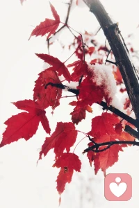 四句最强大的心理暗示：
1.我的人生没有失败，因为我要么成功，要么成长；
2.我的人生没有敌人，全是老师，所以我要么得到，要么学到；
3.我的人生没有白走的路，对了就庆祝，错了就记住；
4.我就是不会被任何人、任何事情所困扰，我允许一切发生，一切发生也终将有利于我。