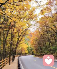 所有治療都離不開人性，
不了解人性就不會懂得治療！配圖