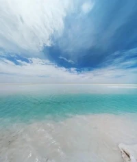 如果我們無條件地接受和認同了別人的東西，無疑是放棄了自己的生本能.一個人越努力說明他越恐懼.配圖