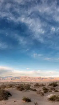 擁有高貴的心靈，是最好的精神風(fēng)水。
                        —— 武志紅配圖
