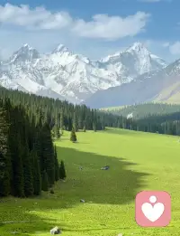 混乱是这个世界上，
唯一确定的事情，
是所有人的统治者.
        ——露露·米勒《鱼 不存在》