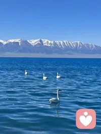 一千個人就有一千個哈姆蕾特，
這人間真是個五彩斑斕的萬花筒！