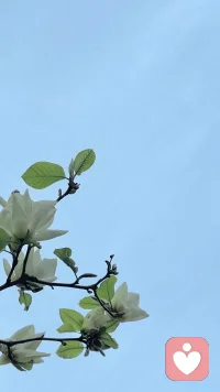 去找个理由，重新开始；
也找个理由，到此为止.配图