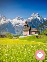 允许至亲撞南墙，
目送挚爱走弯路，
静观知己踩深坑，
人这辈子最难的修行，
是含着泪光看重要的人重蹈覆辙.配图