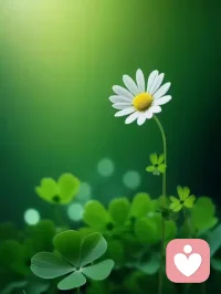 以爱之名，向阳而生，于你同在！配图