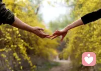 他她對你不好/躲著你/不愿意好好回應你，這統統都是他她的事

你干嘛總去研究別人惡心的一面

你又為什么總要因為別人的錯來反思自己，覺得是自己不夠好/不招人喜歡

其實就是因為他她情商低/不善良/有問題而已 ???配圖