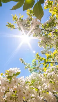 不知道怎么變美好/富貴/桃花旺的女生可以交交這方面做得很好的朋友，模仿她們的行為，單純的靠近對方也有很大好處，對方的磁場會無形中滋養(yǎng)到你，如果你謙虛聽勸那更加受益無窮。愚笨的人都執(zhí)拗、冥頑不靈、不聽人勸。聰慧的人靈活、開放、開闊又包容。配圖