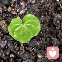 人生怎么过都是有苦有甜，有笑有累……
亲爱的朋友们，无论此刻您所处什么心境，都要好好爱自己，生活能治愈的，是愿意好起来的人