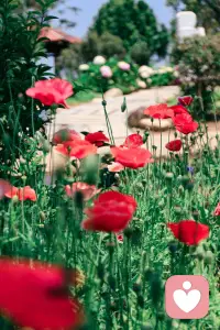 心動(dòng)：藏在細(xì)節(jié)里的雙向奔赴
 
心動(dòng)從不是轟轟烈烈的宣言，而是散落在日常縫隙里的細(xì)碎微光，是兩個(gè)人之間心照不宣的本能反應(yīng)，藏不住，也騙不了人。
 
是目光的不自覺(jué)追隨。哪怕身處喧鬧的人群，也能越過(guò)重重人影精準(zhǔn)鎖定對(duì)方的位置，他抬手整理衣領(lǐng)的瞬間、低頭笑時(shí)揚(yáng)起的嘴角、甚至只是安靜發(fā)呆的側(cè)臉，都能在眼底停留許久。若是不小心對(duì)上視線，又會(huì)像受驚的小鹿般慌忙移開(kāi)，卻在轉(zhuǎn)身時(shí)悄悄紅了耳根，連呼吸都變得有些急促，心里卻忍不住回放剛才那一眼的悸動(dòng)。
 
是分享欲的極致泛濫。吃到一家好吃的面館，第一反應(yīng)是“下次要帶他來(lái)試試”；看到天邊奇形怪狀的云，掏出手機(jī)想拍給他看的手比大腦更快；就連路上遇到一只粘人的小貓，都想絮絮叨叨講給他聽(tīng)。那些細(xì)碎到不值一提的日常，因?yàn)橛辛讼敕窒淼娜耍蝗蛔兊悯r活又有意義，哪怕只是隔著屏幕說(shuō)些無(wú)關(guān)緊要的廢話，也覺(jué)得滿心歡喜。
 
是肢體接觸的小心翼翼。并肩走路時(shí)，胳膊偶爾碰到一起，會(huì)像觸電般輕輕彈開(kāi)，卻又在下次不自覺(jué)地靠近一點(diǎn)；遞東西時(shí)指尖短暫相觸，仿佛有電流竄過(guò)全身，讓心跳漏跳半拍，卻要裝作若無(wú)其事地移開(kāi)手，指尖卻悄悄攥緊了衣角。明明心里渴望更近一步，表面卻要維持著禮貌的距離，這種矛盾又甜蜜的小心思，藏著最純粹的心動(dòng)。
 
是情緒的不由自主牽動(dòng)。他開(kāi)心時(shí)，自己也跟著眉眼彎彎，哪怕不知道他在笑什么；他失落時(shí)，自己的心情也跟著沉下來(lái)，想遞上紙巾，又怕唐突了對(duì)方；他夸自己一句，能偷偷開(kāi)心一整天，反復(fù)琢磨他說(shuō)這話時(shí)的語(yǔ)氣和表情。對(duì)方的情緒像一根無(wú)形的線，牽著自己的喜怒哀樂(lè)，一舉一動(dòng)都成了影響心情的開(kāi)關(guān)。
 
心動(dòng)從來(lái)不是單方面的悸動(dòng)，而是兩個(gè)人之間無(wú)聲的共鳴——是你在偷瞄他時(shí)，發(fā)現(xiàn)他也在偷偷看你；是你想分享時(shí)，他剛好發(fā)來(lái)一句“今天遇到一件好玩的事想告訴你”；是你小心翼翼靠近時(shí)，他也在悄悄向你邁出一步。這些藏在細(xì)節(jié)里的溫柔，拼湊出心動(dòng)最動(dòng)人的模樣，讓兩個(gè)原本獨(dú)立的人，開(kāi)始渴望彼此的世界重疊。配圖