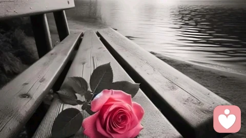 致精神丰盈的女性：唯有真诚可抵岁月漫长