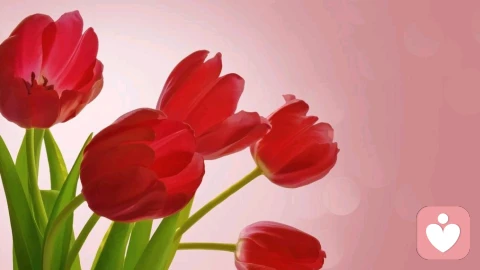 一定要避雷这样的男人，别让消耗型关系拖垮你