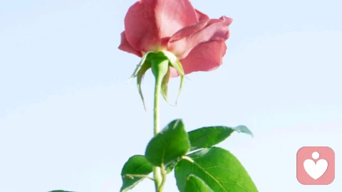 越克制越安稳：藏起锋芒，是最高级的心理自保