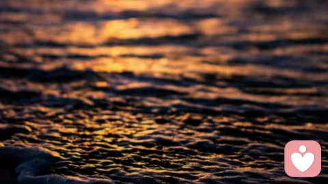 夫妻生活三要素：爱、钱、性，缺一不可