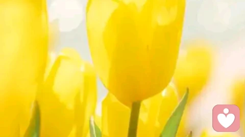 10级孤独,你能承受几级?