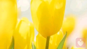 10级孤独，你能承受几级？