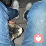 如沐春風的頭像