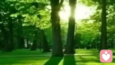 边界