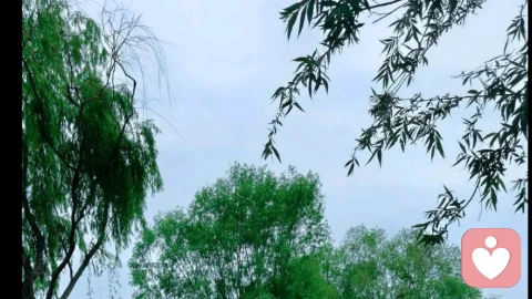\\n沐芷青情感婚恋职场\\n\\n月售4.5小时\\n非暴力沟通:把吵架变成对话