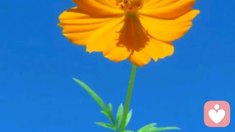 那天HR把我叫进办公室，说了一句话