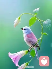 🍀倾听师说💕 空窗期不是空白期
如果现在你是一个人，没有在恋爱，也没有暧昧对象，这不是你不够好的证据。空窗期是你和自己建立关系的时期。那些以前分给别人的时间、精力、注意力，现在都可以收回来给自己。你可以慢慢看清楚自己真正喜欢什么、不喜欢什么、下一次想要什么样的关系。你不是被剩下的，你是在为对的人腾出位置。