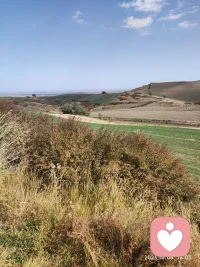 忙里偷閑，出來旅游。配圖