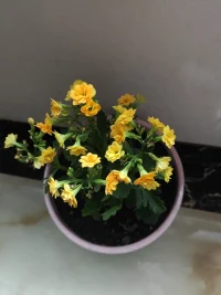 生活有所為，有所愛，有所期待?；〞芈肥㈤_，好運也會如期而至。生活中有風有雨，別忘了也有陽光。配圖