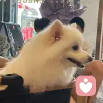 花生蜜糖的头像