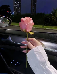 人生不必八面玲瓏，愿你我，于煙火中沉靜，于謙卑中崢嶸。配圖