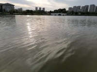 萬寶全書缺個角。幸福的生活都是有缺憾的，愿我們在這個富有幸福的生活里缺憾著，或者在這個富有缺憾的生活里幸福著!配圖