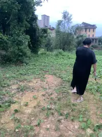 往后好好工作好好賺錢好好愛自己 ，別人下班我加班配圖