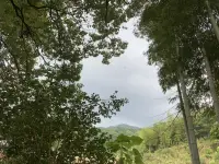 心情不好的時(shí)候開車出來(lái)轉(zhuǎn)轉(zhuǎn)，停車費(fèi)倆塊錢的快樂(lè)，快樂(lè)完回去就接著上班，腳踩在泥土上，玩著小溪的水，抱著竹子，看著天空看著打雷吹著風(fēng)心情無(wú)比快樂(lè)，真的很有童年的味道，仿佛一直尋找著這種感覺配圖