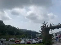碰到討厭的人真的是要遠離他，讓人心煩！！！配圖
